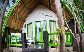Kaktus Bungalow 2